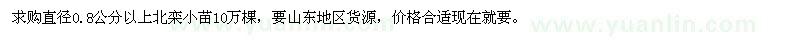 求購北欒小苗10萬棵