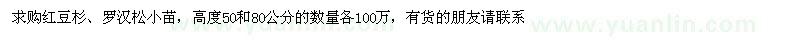 求購紅豆杉、羅漢松小苗 