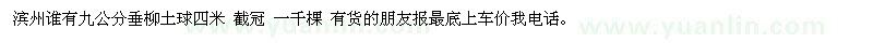 求購濱州內(nèi)九公分垂柳土球四米 截冠 一千棵