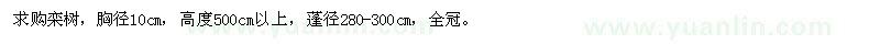 求購胸徑10cm欒樹