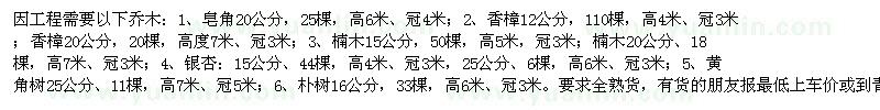 求購皂角 香樟 銀杏樹 樸樹