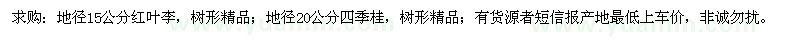 求購(gòu)紅葉李、四季桂