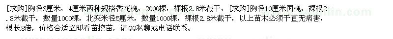 求購香花槐，國槐，北欒