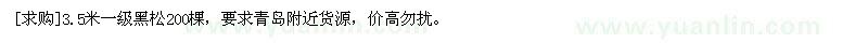 求購3.5米一級黑松200棵