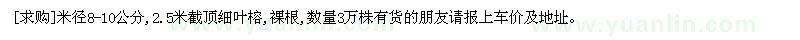 求購米徑8-10公分,2.5米截頂細葉榕,裸根,數(shù)量3萬株