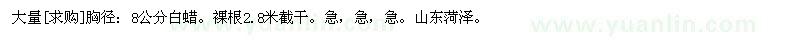 求購大量胸徑：8公分白蠟