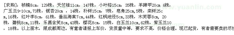 求購天竺桂 小葉榕 羊蹄甲 廣玉蘭 銀杏樹 樸樹 皂角 欒樹等 