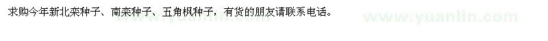 求購(gòu)今年新北欒種子、南欒種子、五角楓種子 