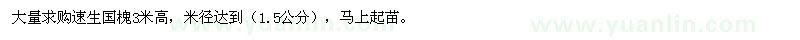 求購速生國槐3米高，米徑達(dá)到（1.5公分）數(shù)量50多萬 