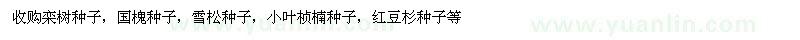 求購欒樹種子，國槐種子，雪松種子