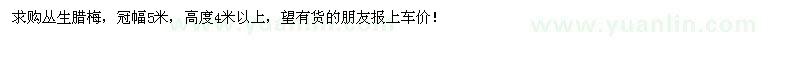 求購叢生臘梅，冠幅5米，高度4米以上 