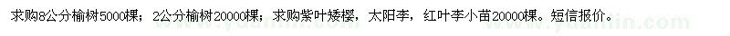 求購榆樹,紫葉矮櫻,太陽李,紅葉李