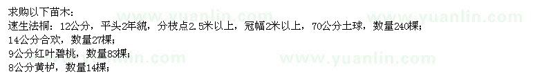求購速生法桐,合歡,紅葉碧桃,黃櫨等