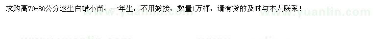 求購(gòu)高70-80公分速生白蠟小苗1萬(wàn)棵