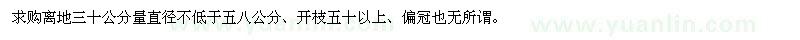 求購桂花