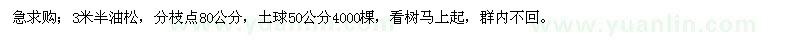 求購3米半油松，分枝點80公分 