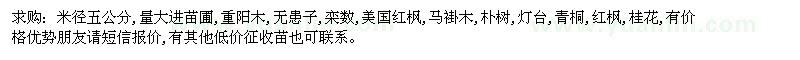 求購(gòu)五公分重陽(yáng)木,無(wú)患子、欒樹、美國(guó)紅楓、馬褂木等苗圃用苗