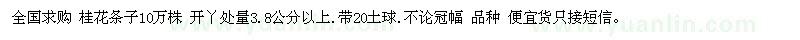 求購全國桂花條子10萬株 開丫處量3.8公分以上