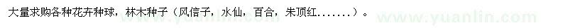 求購(gòu)各種花卉種球（風(fēng)信子，水仙，百合，朱頂紅.......）