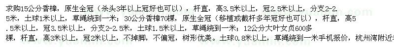 求購(gòu)15公分，30公分香樟、12公分大葉女貞
