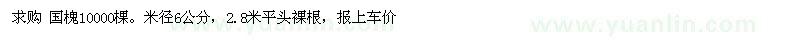 求購國槐