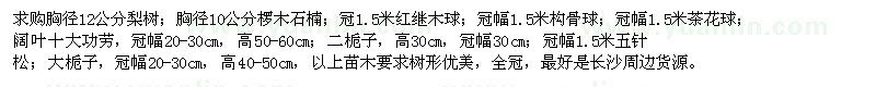 求購梨樹、欏木石楠、紅繼木球、構(gòu)骨球、茶花球、闊葉十大功勞等苗木