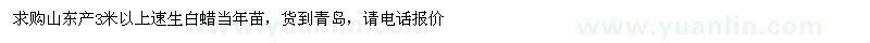 求購山東產(chǎn)3米以上速生白蠟當(dāng)年苗