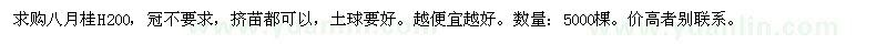 求購八月桂H200垃圾苗