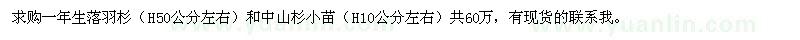 求購一年生落羽杉、中山杉小苗