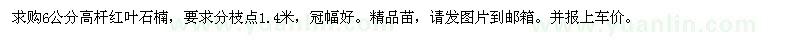 求購6公分高桿紅葉石楠