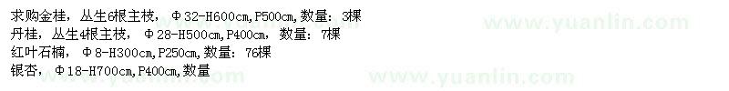 求購丹桂,金桂,紅葉石楠,銀杏,雪松等苗木