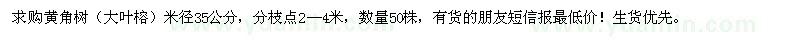 求購黃角樹（大葉榕）米徑35公分 