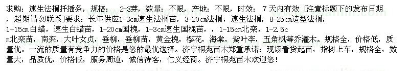 求購速生法桐扦插條  2-3芽 不限