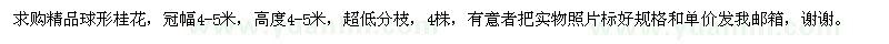 求購精品球形桂花