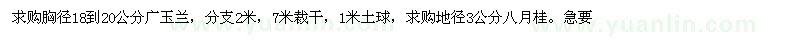 求購胸徑18到20公分廣玉蘭 
