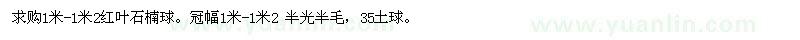 求購1米-1米2紅葉石楠球