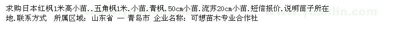 求購(gòu)日本紅楓1米高小苗