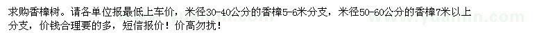 求購香樟樹