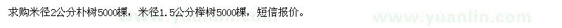 求購樸樹、櫸樹
