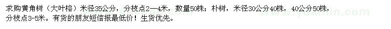 求購黃角樹,樸樹