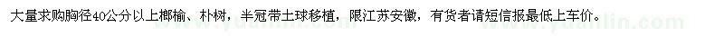 求購(gòu)40以上榔榆,樸樹(shù)