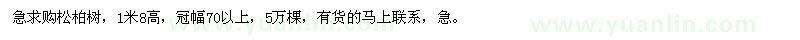 求購松柏樹