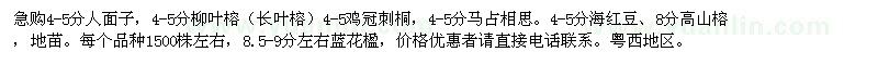 求購急人面子,柳葉榕,雞冠刺桐,高山榕,藍花楹