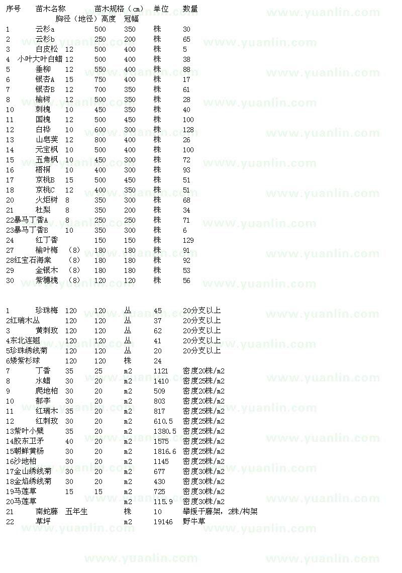 求購北方云杉白蠟垂柳銀杏榆樹刺槐國槐白樺皂莢元寶楓五角楓梧桐