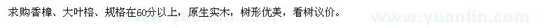 求購(gòu)香樟、大葉榕、規(guī)格在60分以上
