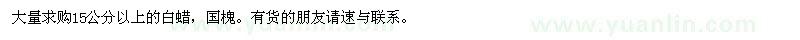 求購(gòu)15公分以上的白蠟