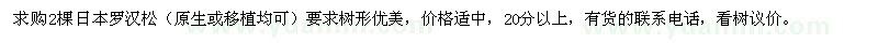 求購日本羅漢松2棵