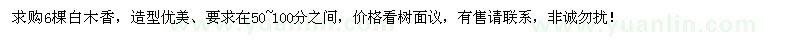 求購6棵白木香50分以上