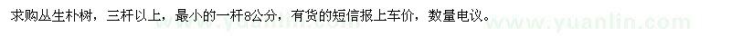 求購(gòu)叢生樸樹(shù)