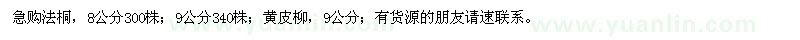 求購法桐,黃皮柳